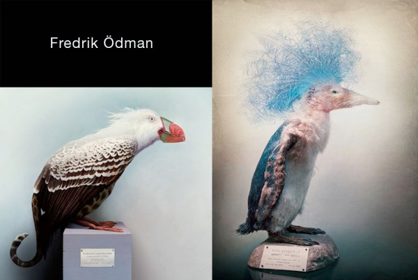 Fredrik Ödman copie