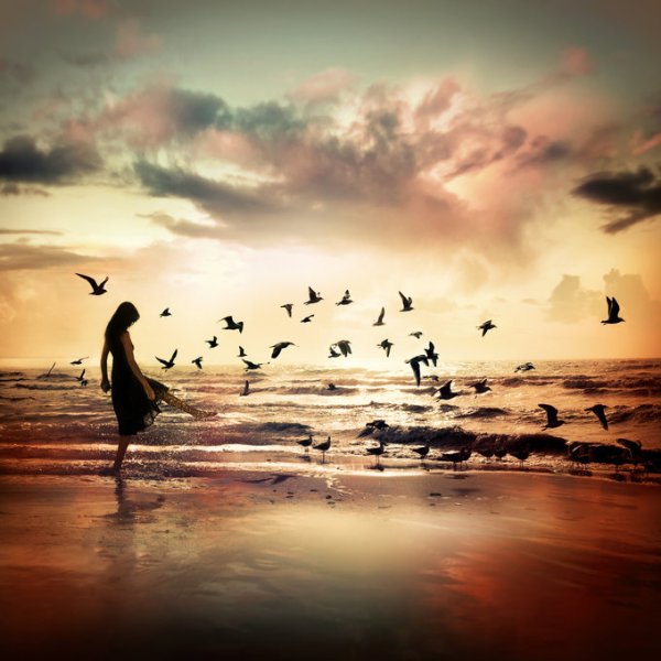 here's to the crazy ones by Dragan Todorović - Downloaded from 500px