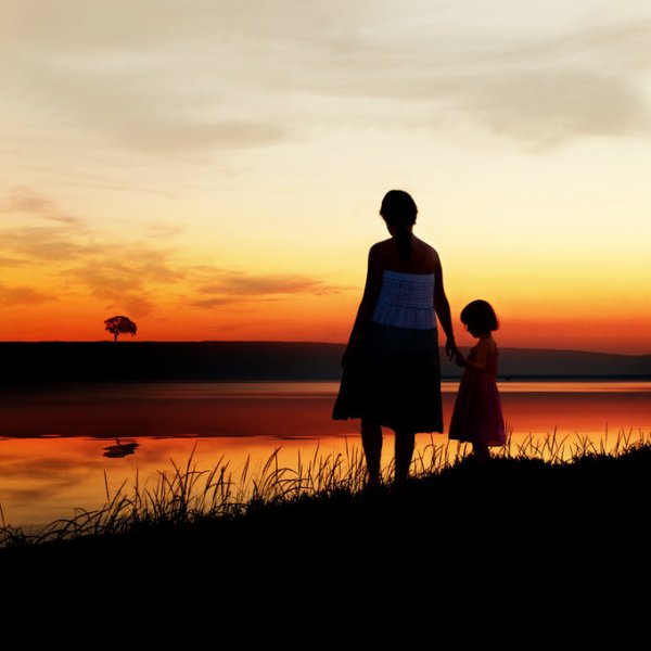 The Tree of Life by Dragan Todorović - Downloaded from 500px