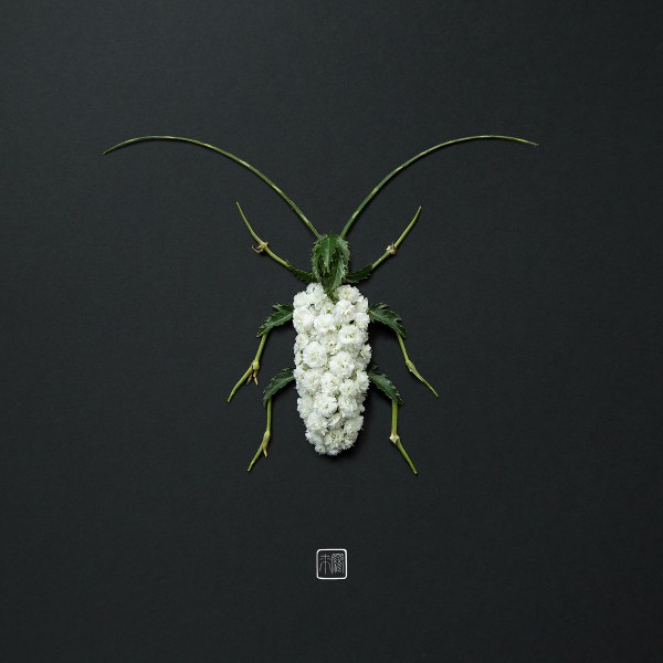 a07d9273546053.5c0d7aaf50905