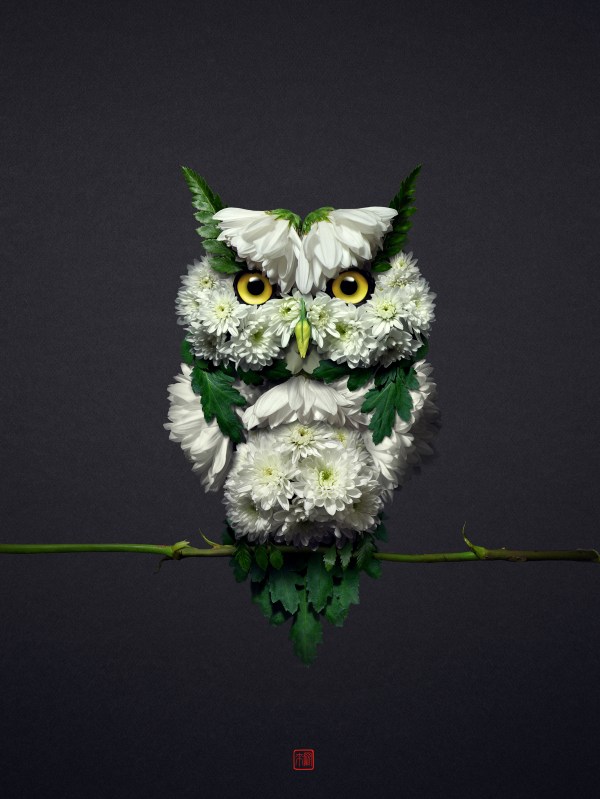 bacdda73546053.5c0d7aaf51d3b