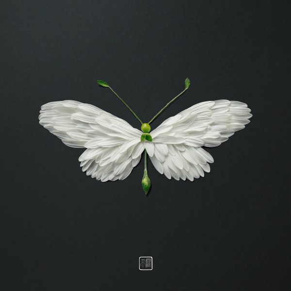 e5348e73546053.5c0d7aaf51184